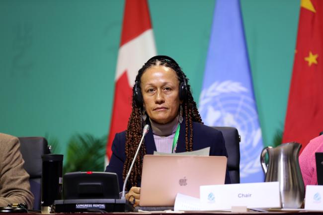 WG II Chair Helena Brown, Antigua and Barbuda
