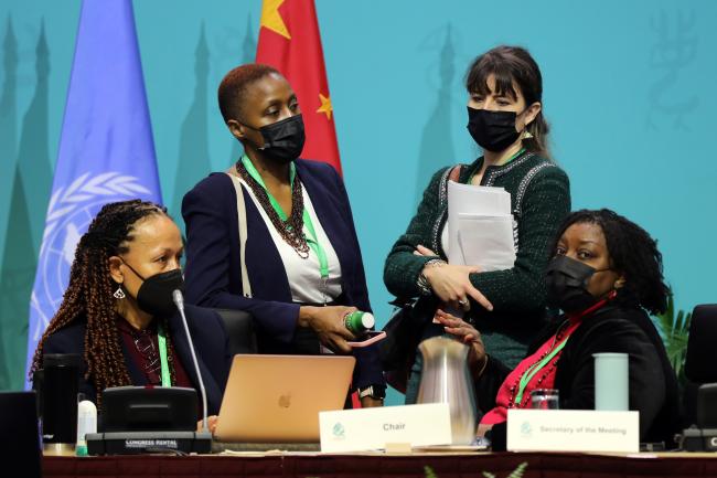 From L-R: WG II Chair Helena Brown, Antigua and Barbuda; Sakhile Silitshena Koketso, CBD Secretariat; Laetitia Sieffert, CBD Secretariat; and Wadzanayi Goredema-Mandivenyi, CBD Secretariat