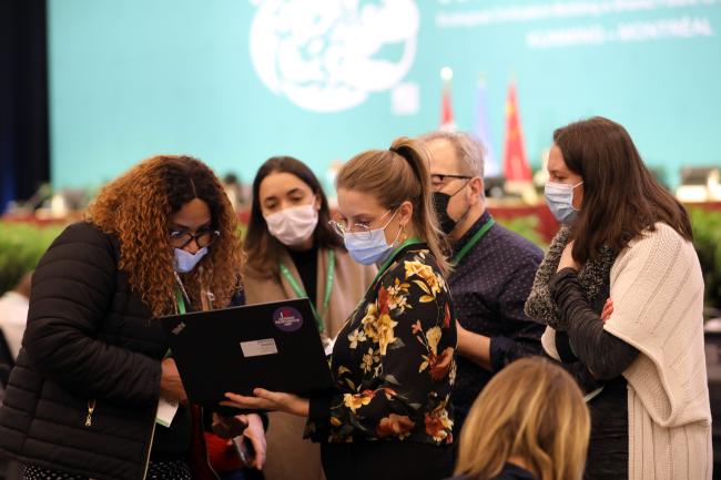 Delegates trying to find common ground during WG II