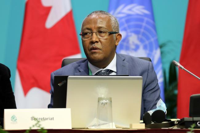 Worku Damena Yifru, CBD Secretariat