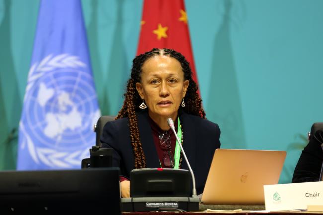 WG II Chair Helena Brown, Antigua and Barbuda