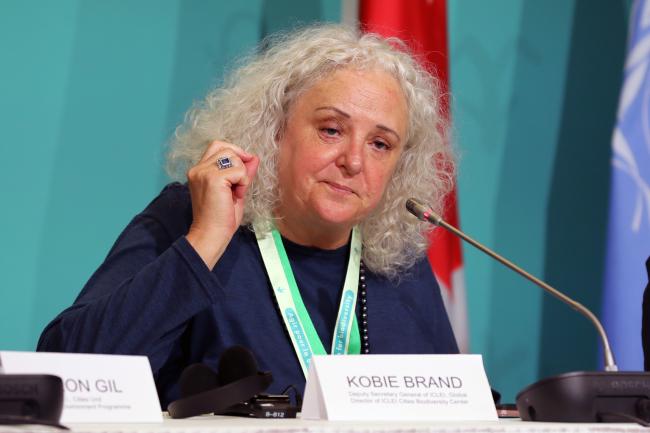 Kobie Brand. Deputy Secretary General, Local Governments for Sustainability (ICLEI)