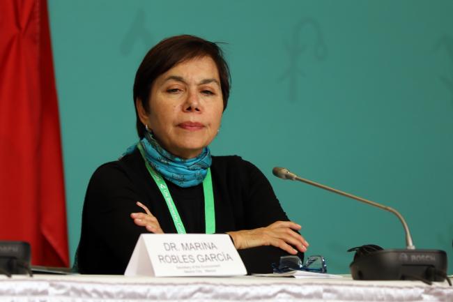 Marina Robles García, Secretary of the Environment, Mexico City, Mexico