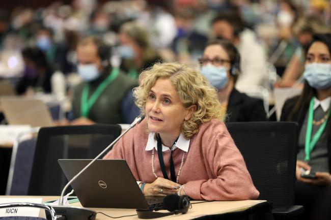 Sonia Peña Moreno, International Union for Conservation of Nature (IUCN)