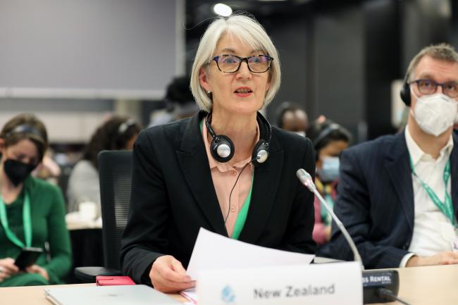 WG I Chair Rosemary Paterson, New Zealand