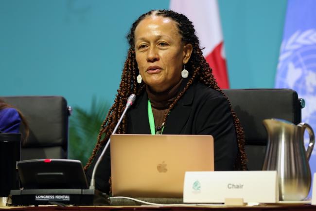 WG II Chair Helena Brown, Antigua and Barbuda