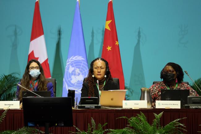 From L-R: XXX, CBD Secretariat; WG II Chair Helena Brown, Antigua and Barbuda; and Wadzanayi Goredema-Mandivenyi, CBD Secretariat