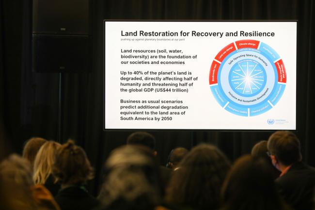 Presenters spoke about the importance of land restoration to recovery and resilience