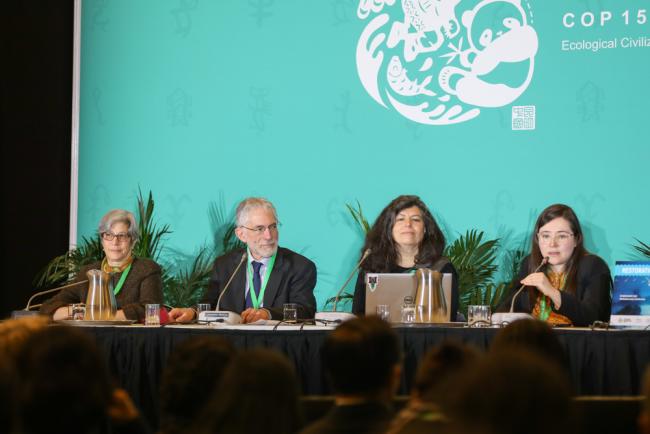 Panel speakers shared ideas on best practice (L-R): Robin Chazdon, Professor Emerita, University of Connecticut, US; James Hallett, Vice-Chair, Society for Ecological Restoration; Cara Nelson, Lead, Ecosystem Restoration Thematic Group, IUCN’s Commission on Ecosystem Management; and Andrea Romero, Task Force on Best Practices