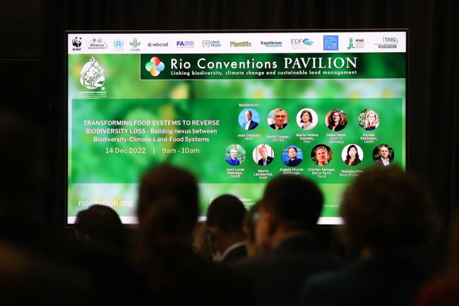 The second day of the Rio Conventions Pavilion focused on transforming food systems to reverse biodiversity loss and achieve food security and nutrition