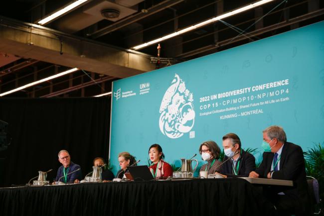 Panel speakers