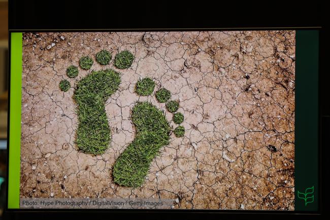 Green footprints