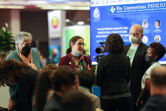 Delegates between sessions
