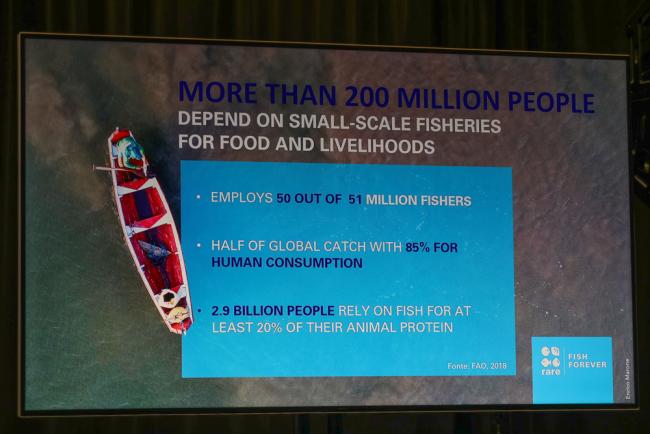 Small scale fisheries
