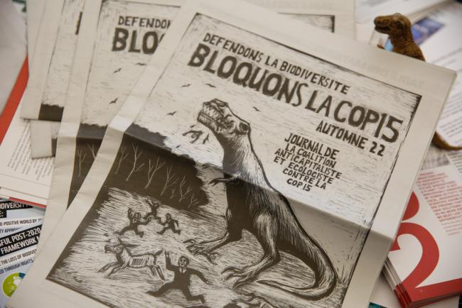 Dinosaur newspaper