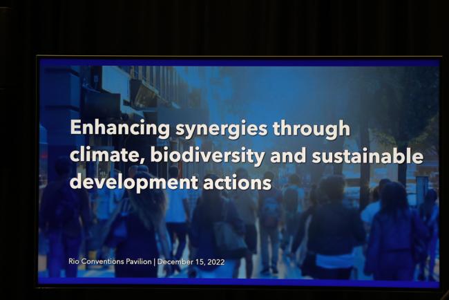Enhancing synergies through climate, biodiversity and sustainable development actions