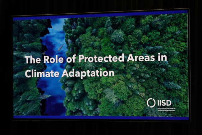 The role of protected areas in climate adaptation