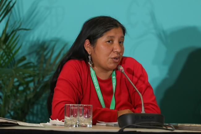 Viviana Figueroa, International Indigenous Forum on Biodiversity