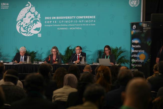 Panel speakers during the high-level closing