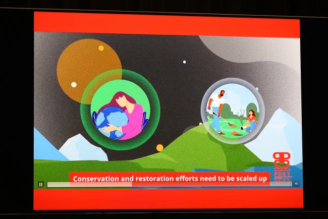 Conservation needs to be scaled up