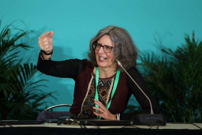 Heike Henn, German Federal Ministry for Economic Cooperation and Development