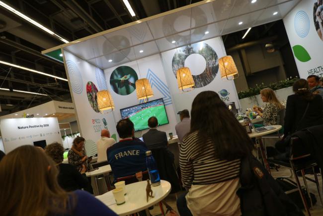 Delegates gather to watch the final match of the World Cup Football