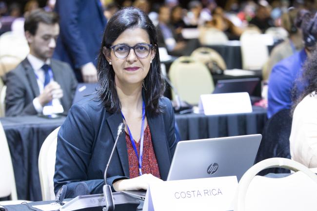 Mariamalia Jiménez, Costa Rica - INC-1-Plastic-2Dec-Photo