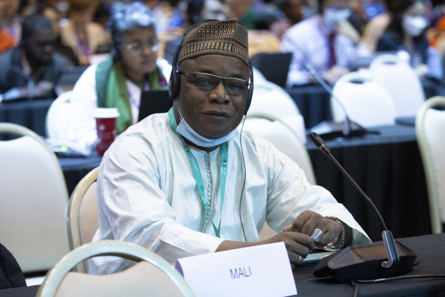 Oumar Diaouré Cisse, Mali