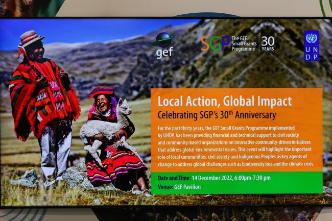 Slide GEF_SideEventsCBDCOP15_14Dec2022_Photo.jpg