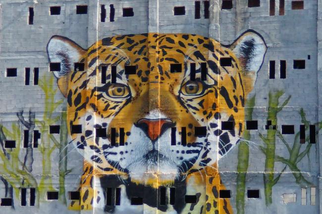 Tiger painting