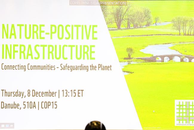 slide_SideEventsCBDCOP15_7Dec2022_Photo.jpg