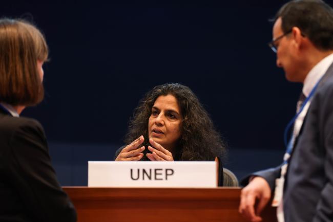Sheila Aggarwal-Khan, UNEP, confers with delegates_OEWG1.2_30jan2023_photo.jpg