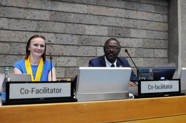 Co-Facilitators of Thematic Group 1 