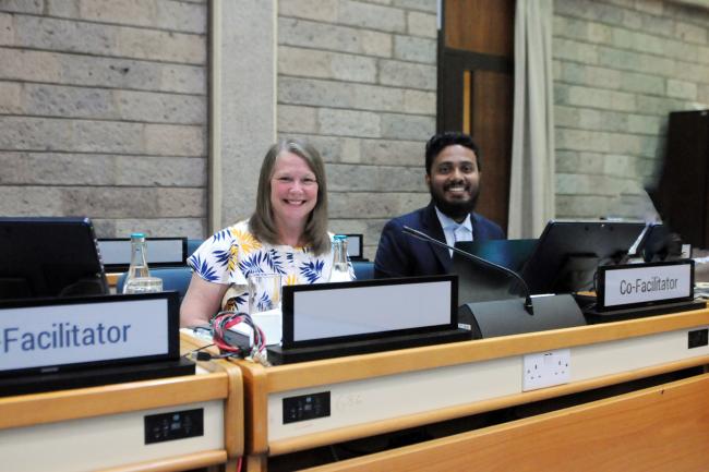 Co-Facilitators of the Informal Dialogue
