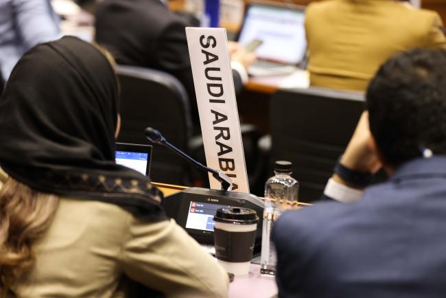 Delegates raise their placards to make comments in the contact group_OEWG1.2_3feb2023_photo.jpg