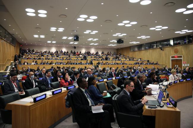 View of the room during the opening plenary