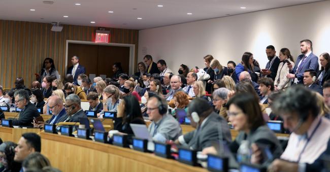 Observers during the opening plenary