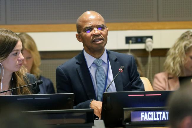 Thembile Joyini, South Africa, facilitated the informal discussions on institutional arrangements.