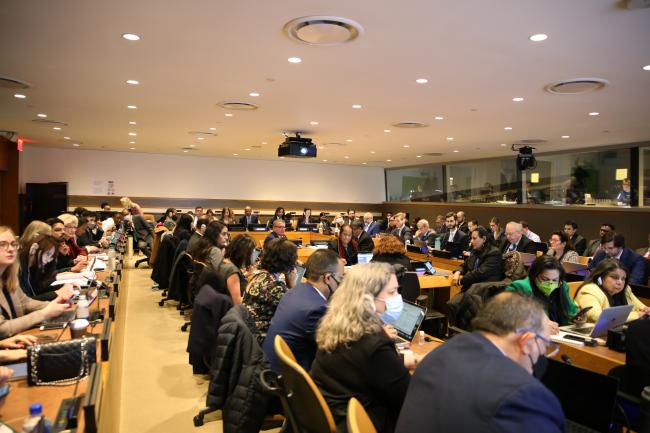 View of the room during informal discussions on institutional arrangements