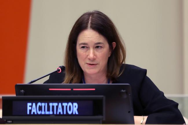 Victoria Hallum, New Zealand, facilitates discussions on implementation and compliance, and dispute settlement
