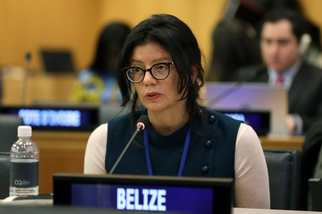 Janine Coye-Felson, Belize, facilitator of the informal group on MGRs, including questions on benefit-sharing