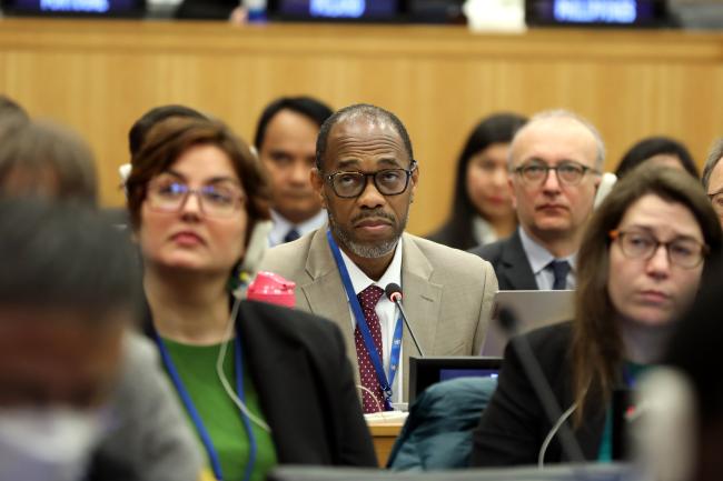 Kurt Davis, Jamaica, facilitator of the informal group on cross-cutting issues and institutional arrangements