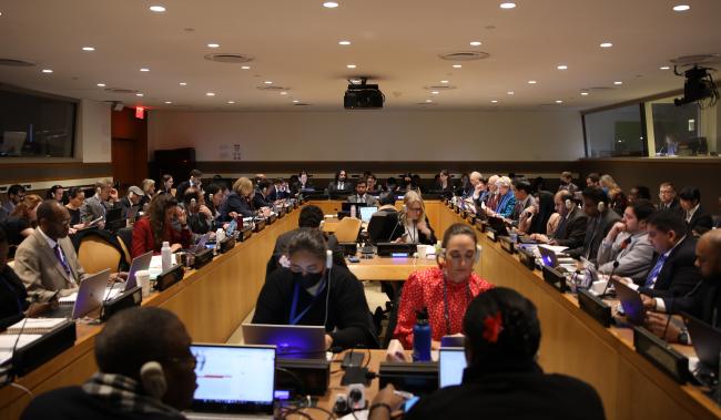 View of the room during informal negotiations on cross cutting issues