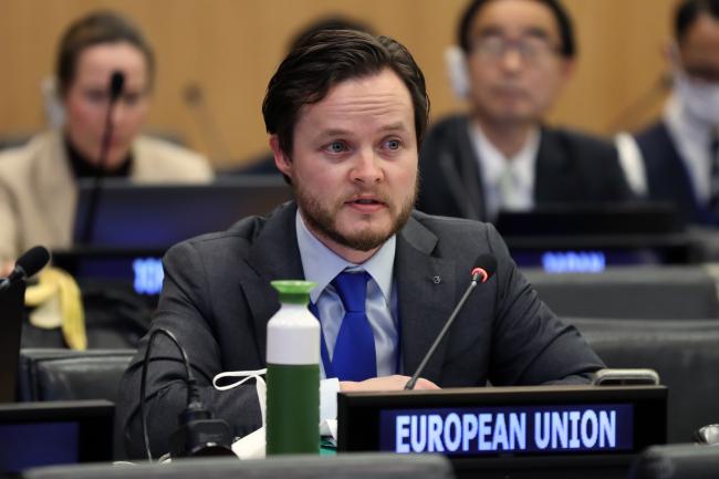 Roderick Harte, EU