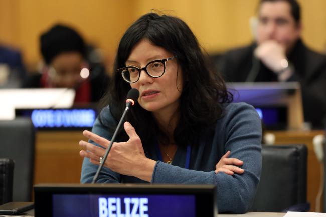 Janine Coye-Felson, Belize, Facilitator of the informal group on MGRs, including questions on benefit-sharing