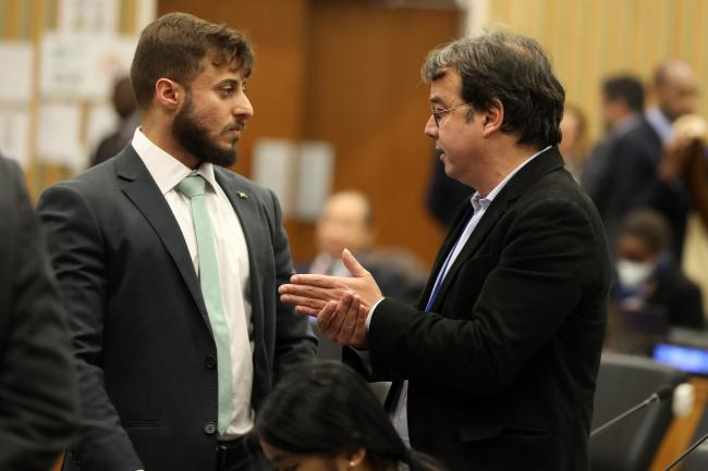 Philippe Carvalho Raposo, Brazil, and André Abreu de Almeida, ECOSOC