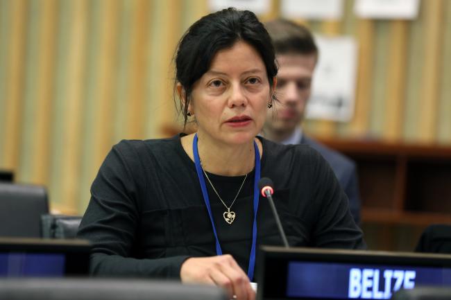 Janine Coye-Felson, Belize, facilitated the informal discussions on MGRs
