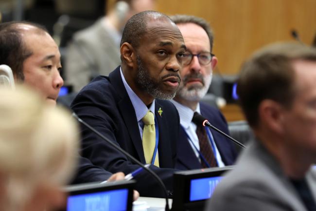 Kurt Davis, Jamaica, facilitated the informal group on general provisions