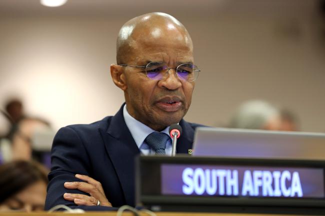Thembile Joyini, South Africa, facilitated the informal discussions on institutional arrangements