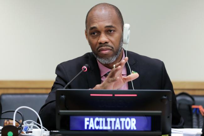 Kurt Davis, Jamaica, facilitated the informal group on general provisions